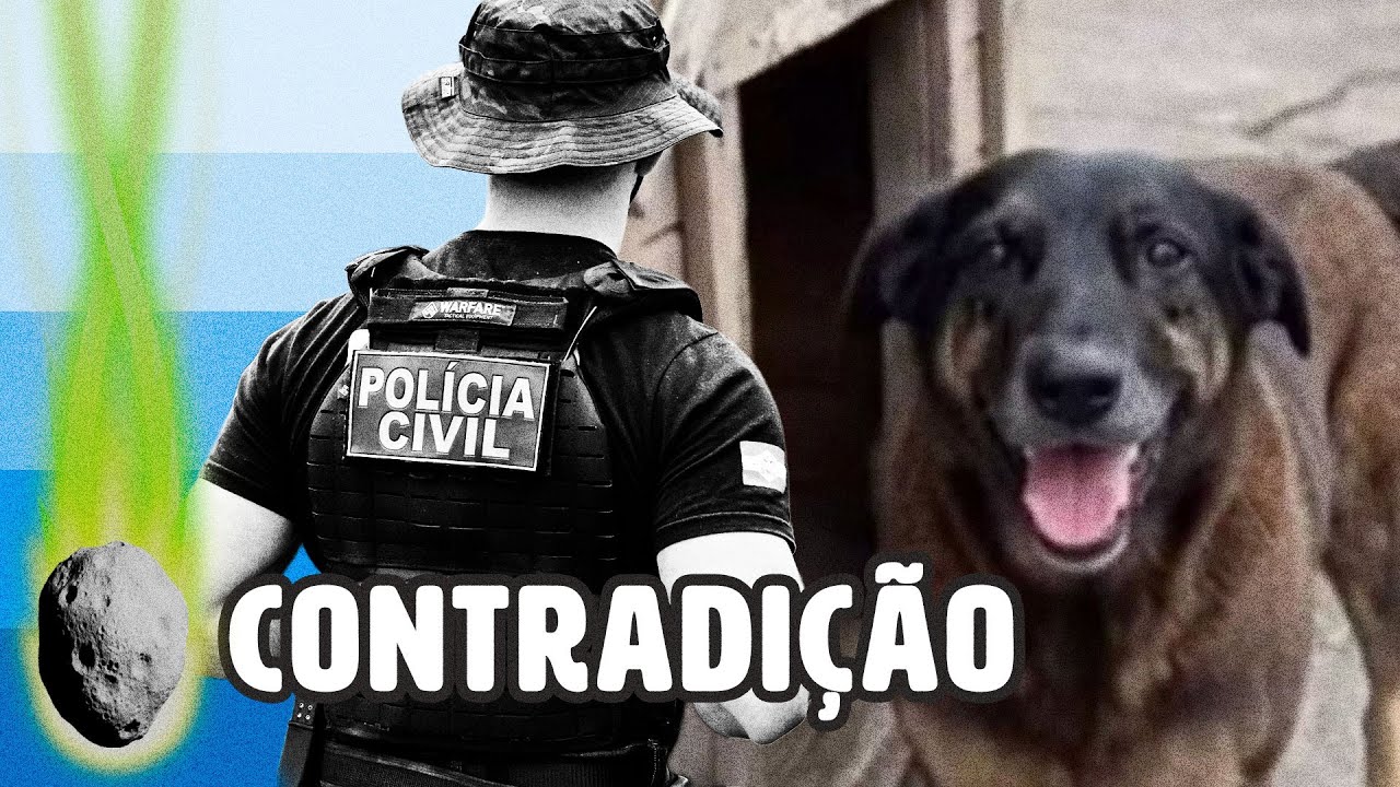 ENTENDA CONTRADIÇÃO QUE LEVOU A RESPONSÁVEL PELA M0RT3 DO CÃO ORELHA | PLANTÃO