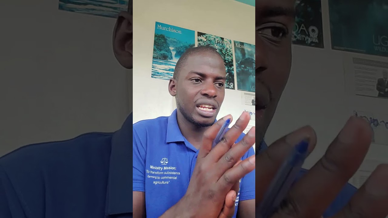 ACCOUNTING GUIDANCE (CV, RESUME/ APPLICATION LETTER, CAREER GUIDANCE- CERTIFICATES AND SOFTWARE