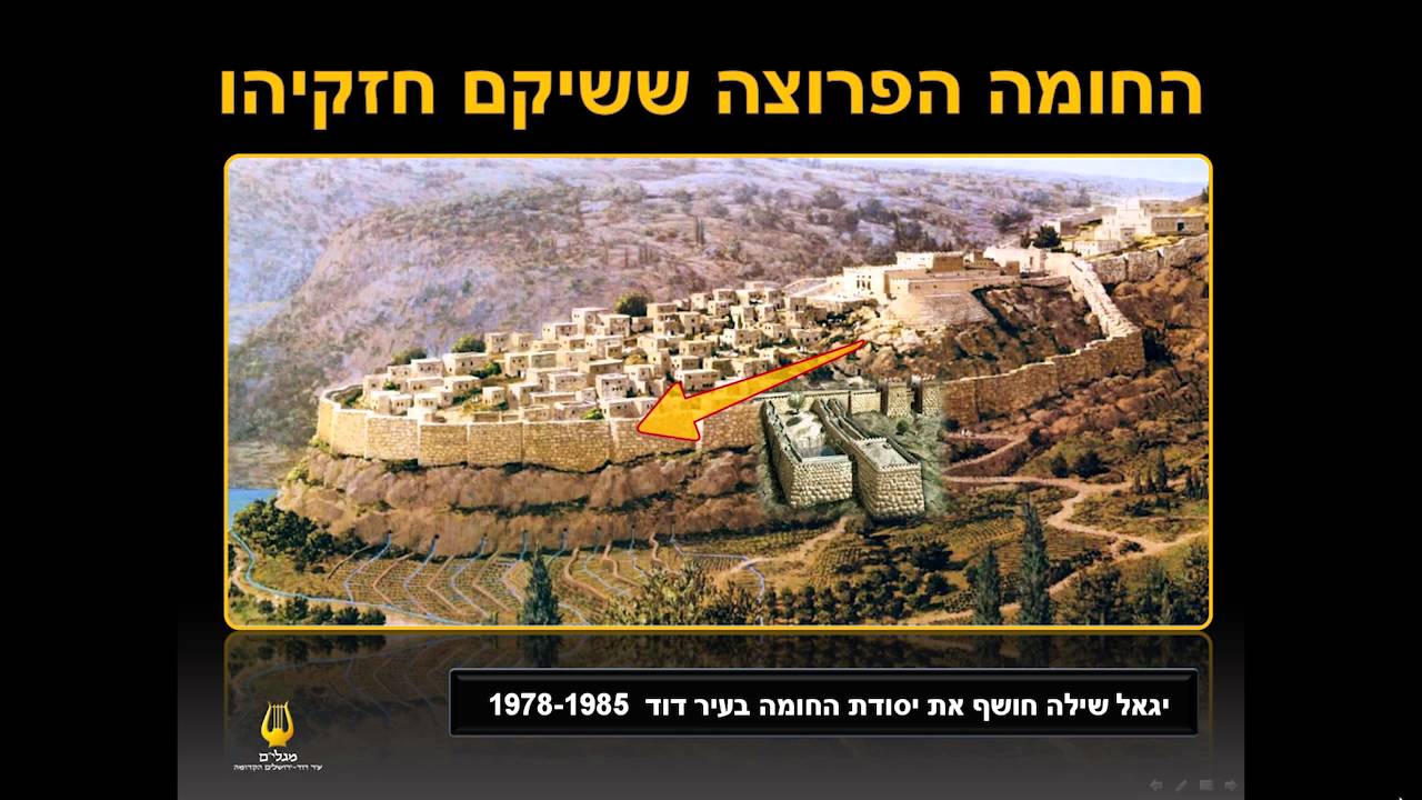 929 - מכון מגלי