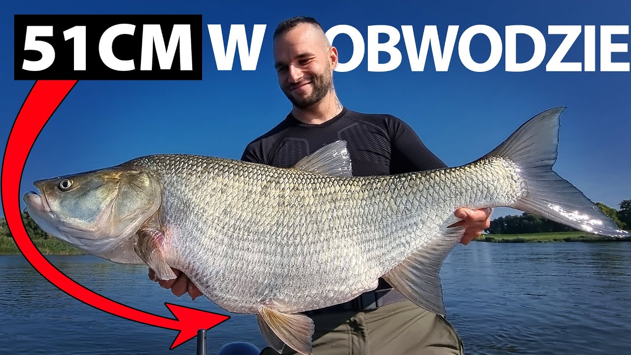 Kraina Olbrzymów - Wielkie Bolenie jeden za drugim