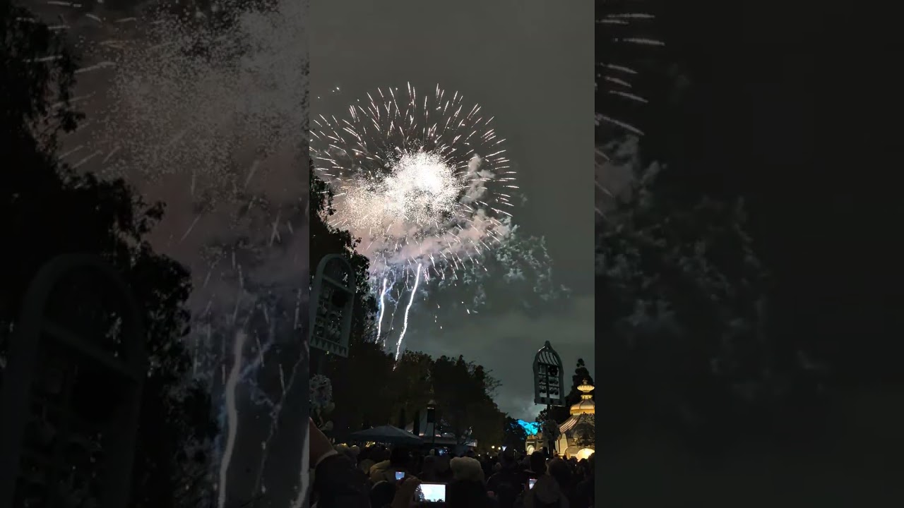 Happy New Year!!!