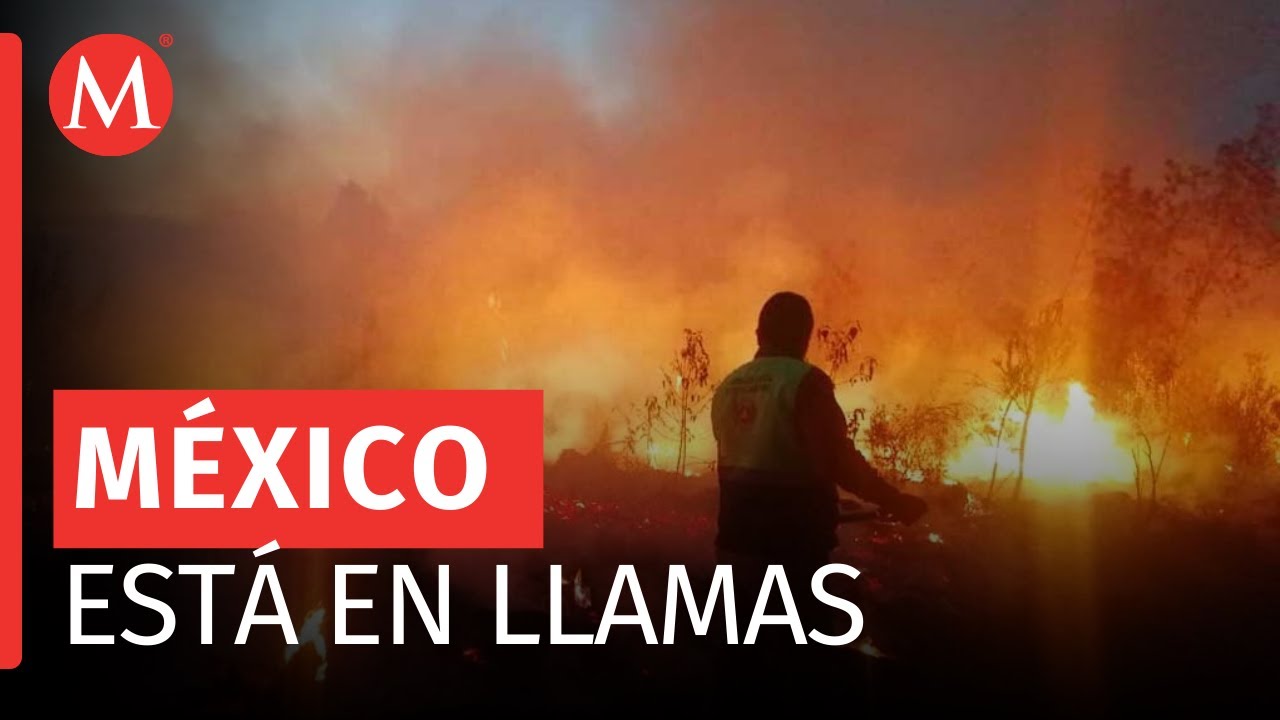 Ola de incendios forestales devasta varios estados de México