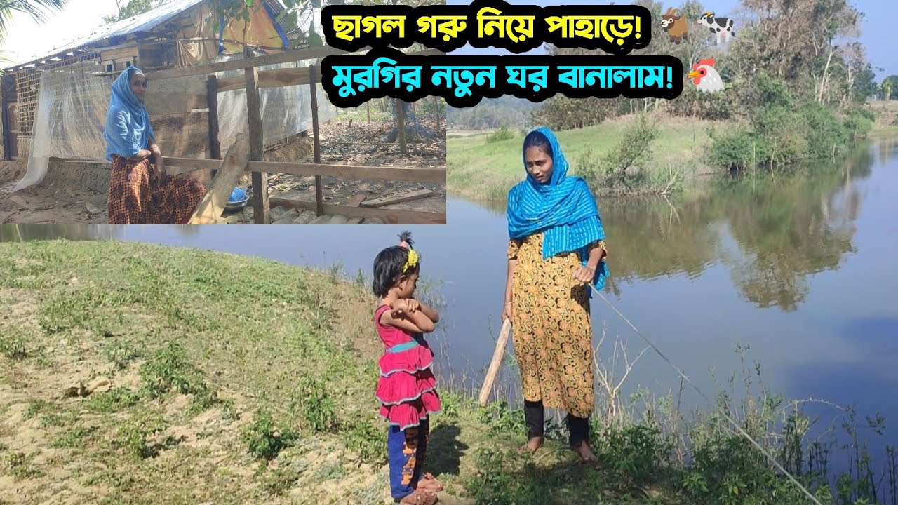 দেশি মুরগির জন্য নতুন ঘর | পাহাড়ের চাষীর দৈনন্দিন জীবন