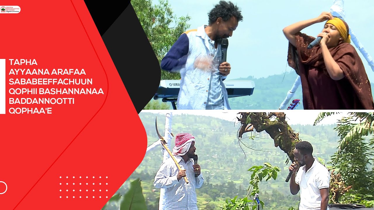 Tapha Ayyaanaa, Ayyaana Arafaa sababeeffachuun qophii bashannanaa Baddannootti qophaa'erratti...