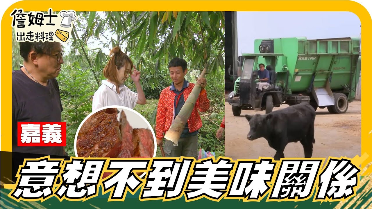🔎《姆士尋寶去》最有價值筍友！意想不到的美味關係 讓你一口接一口！台灣第一安格斯牛養成記！自由放牧的秘密 好吃到跺腳的鮮甜牛排！