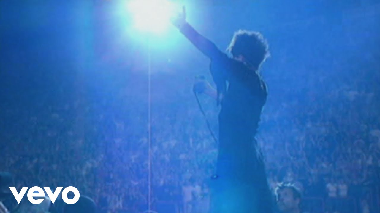 Indochine - Punishment Park (Paradize Tour - Acte III à Paris-Bercy 2003)