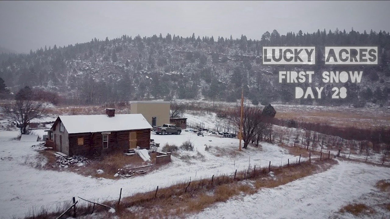 Первый снег на ферме! (28-й день Lucky Acres)