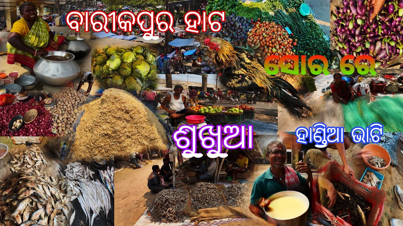 Soro Barikpur Sukhua Hata 😱l Odisha Re Famous Hata 😳 l Odia vlog l Baleswar 