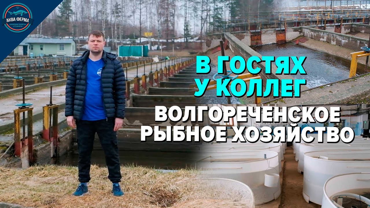 Волгореченское Рыбное хозяйство. В гостях у коллег