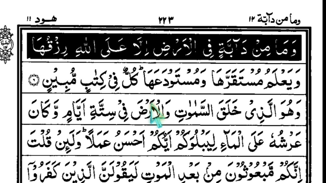 12th para of quran | Part 01 | Surah Hood with Tajweed Tips🥀