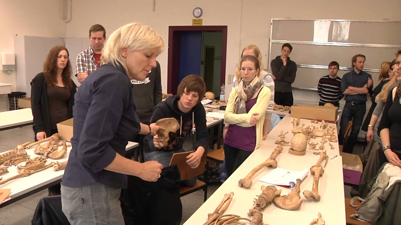 Knochenarbeit - Wie Anthropologen lernen Skelette zu lesen