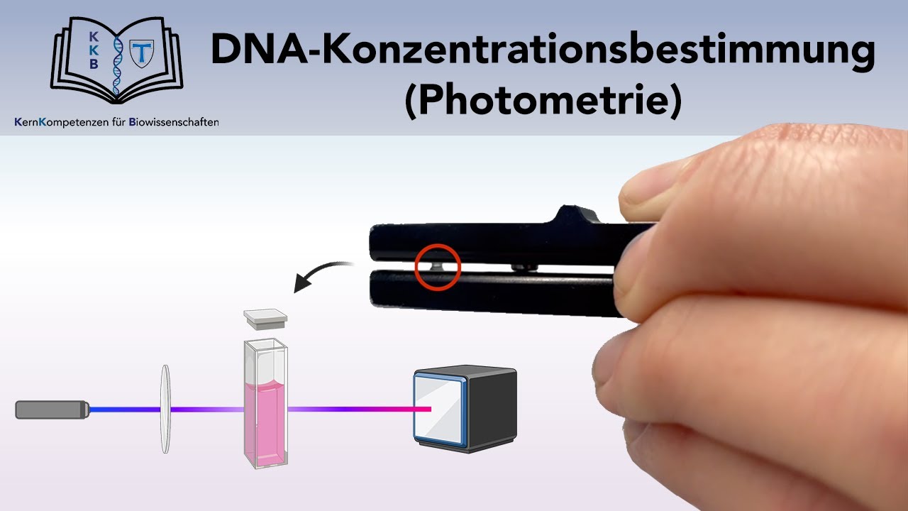DNA KONZENTRATIONSBESTIMMUNG (PHOTOMETRIE)