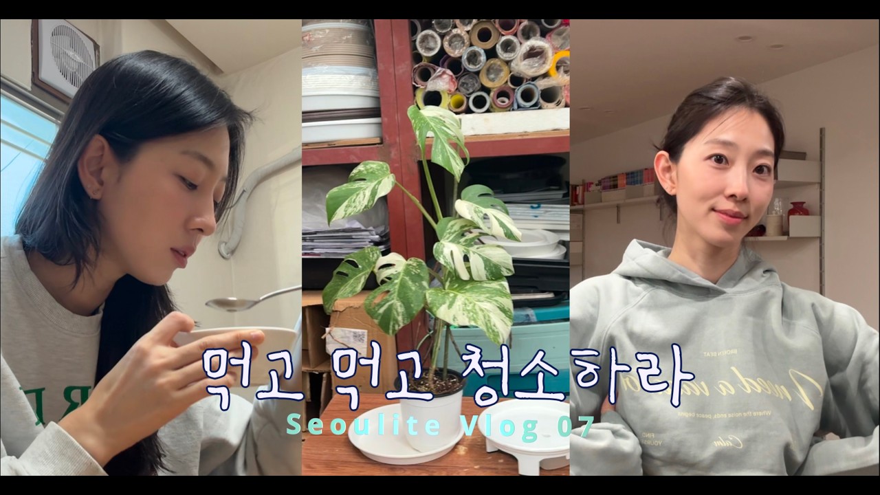 [ENG SUB] 다른게 아니라 먹느라 바빴던 시즌 [이케아.일룸.한샘.옷추천]
