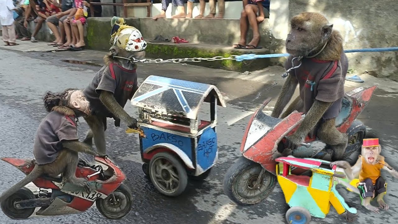 FUNNY MONKEY TOPENG MONYET LUCU JUAL BAKSO KELILING
