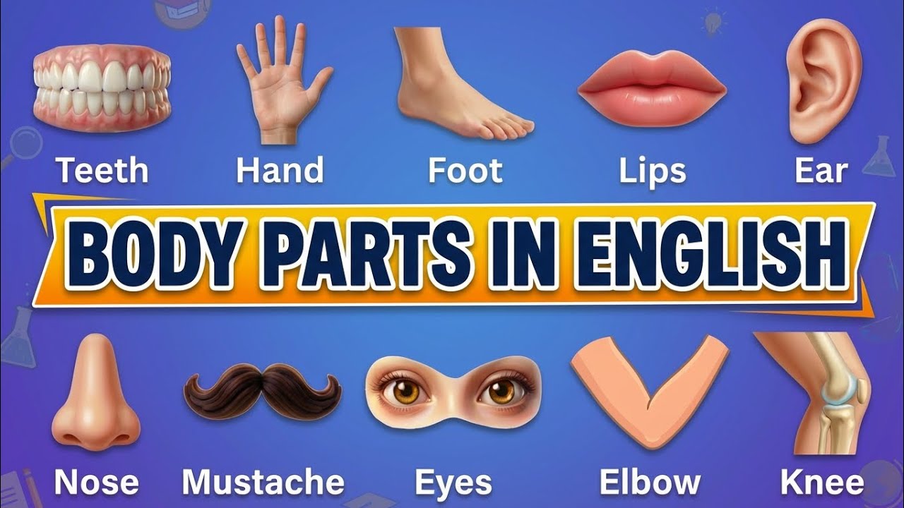 Daily Use Body Parts in English | Learn Fast & Easy
