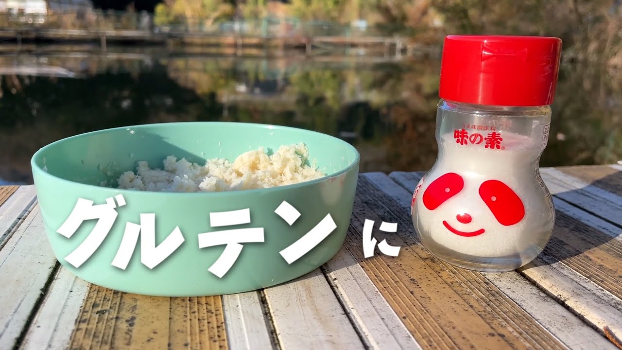 グルテンに「味の素」混ぜて底釣りやってみたら...？【へらぶな釣り検証】