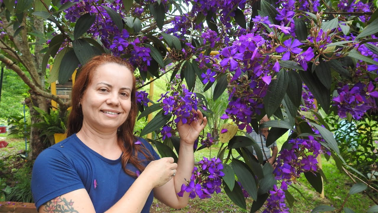 Qual é essa flor Roxa que encanta a todos?