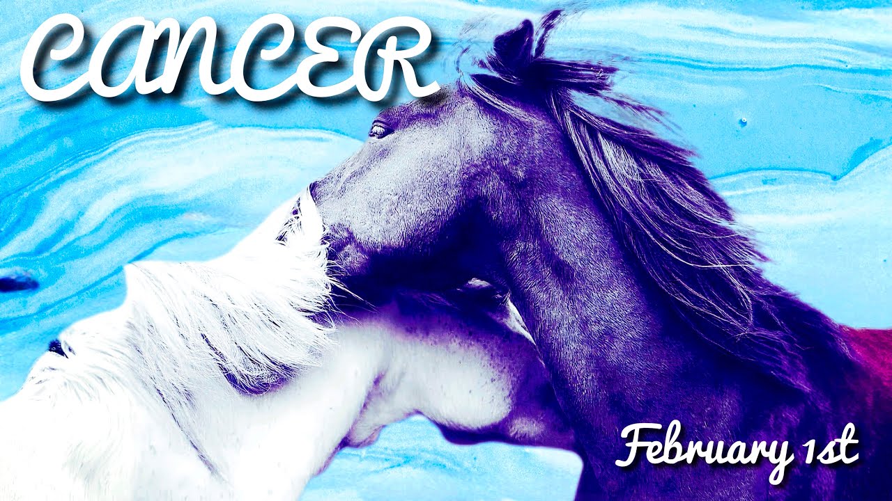 CANCER FEBRUARY 2026🌬️Almost Personal Someone has been delaying your Person from Reuniting with YOU🫂