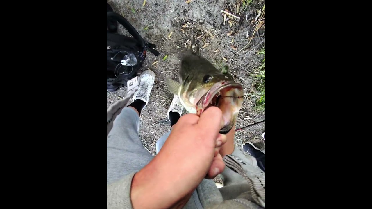 Fishing for #bass cast to catch 👍 #socalbassfishing #catchandrelease 