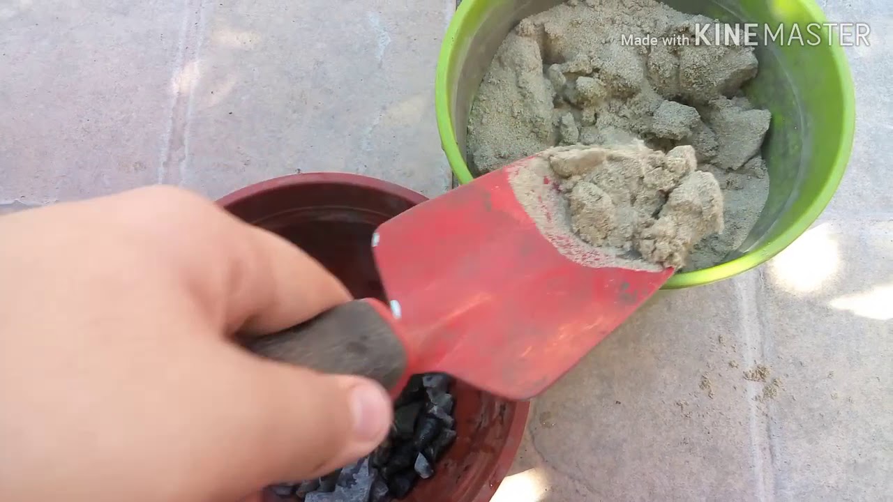 Consejos para plantar sus plantas acuáticas en estanques