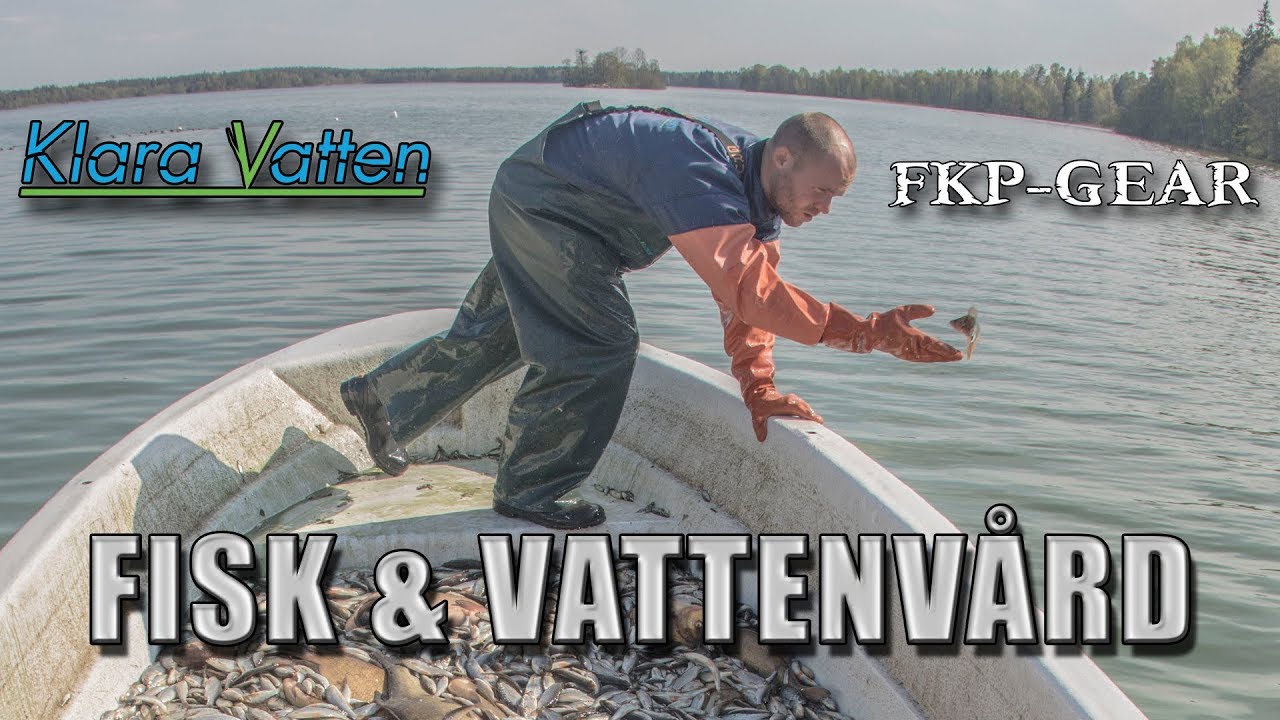 Fisk & Vattenvård med Klara Vatten