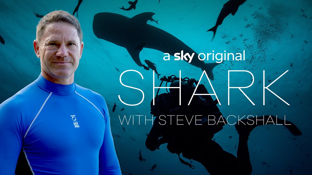 Shark with Steve Backshall | First Look Trailer | Sky Nature