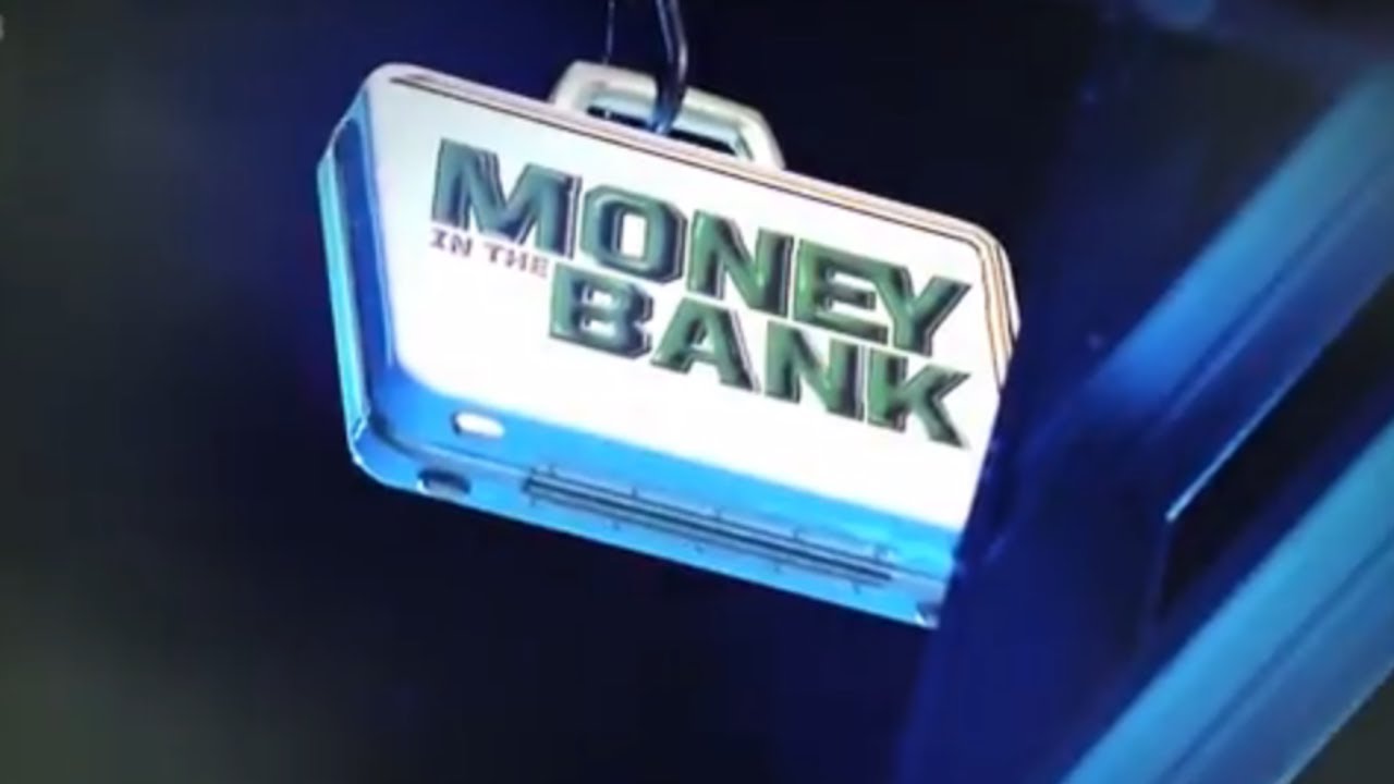 Take a closer look at the Women's Money in the Bank Ladder Match
