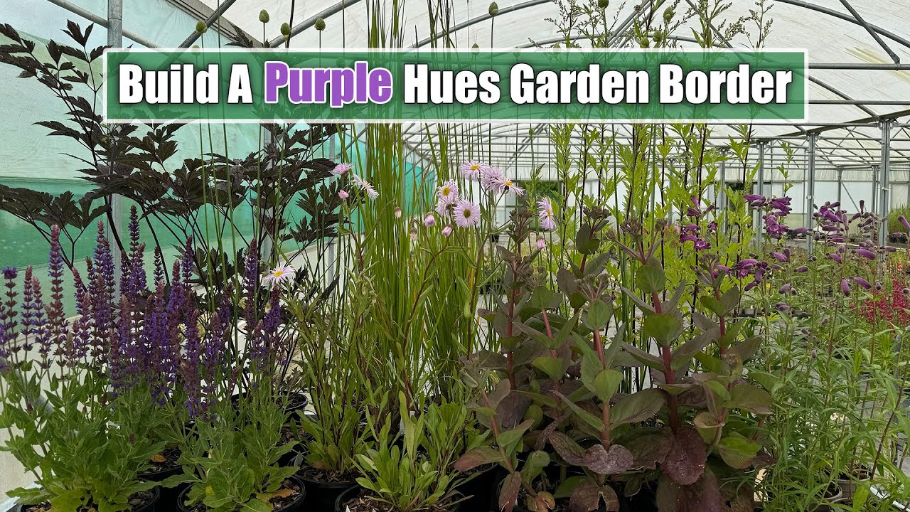 How To Build A Garden Border With Purple Hues