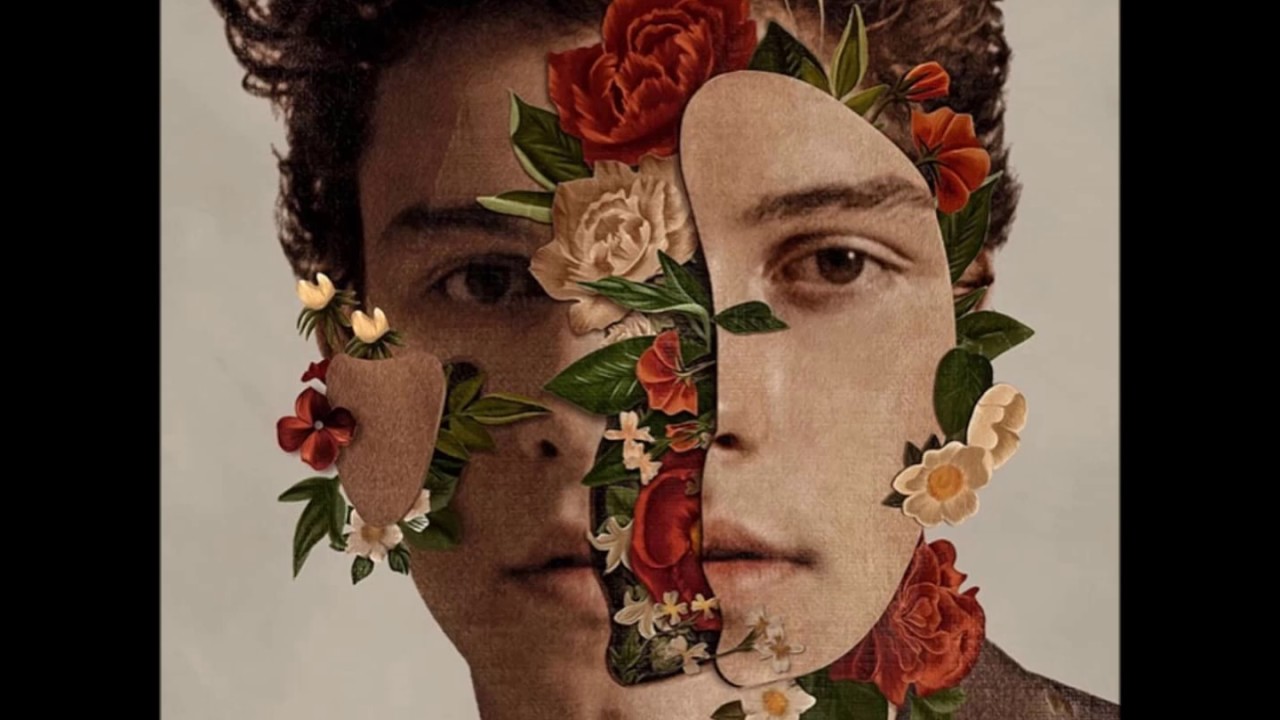Shawn Mendes - Lost