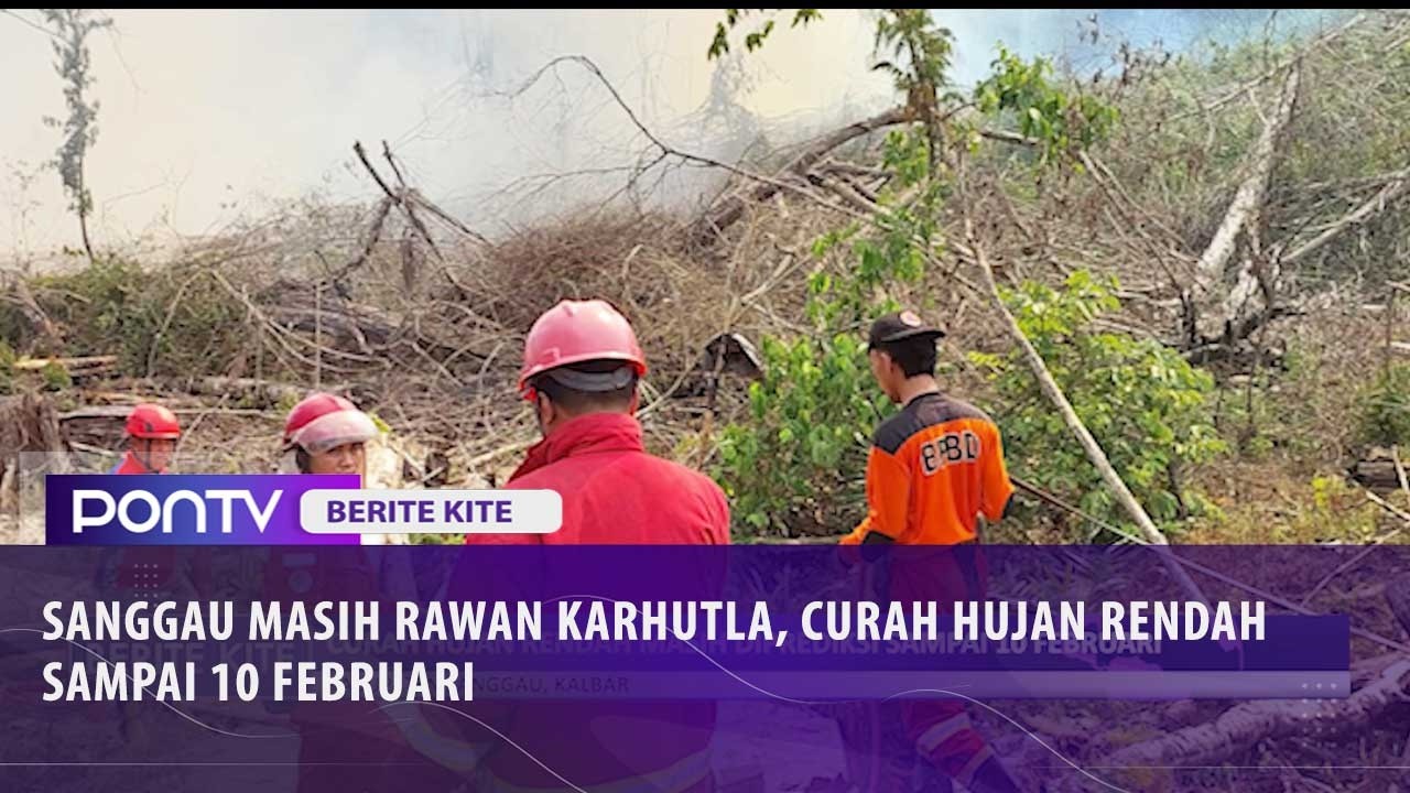 Sanggau Masih Rawan Karhutla, Curah Hujan Rendah Diprediksi Sampai 10 Februari