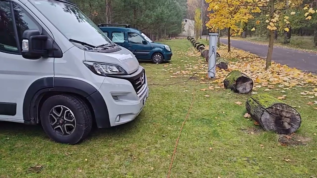 Oskar und Nepomuk ... ganz einsam