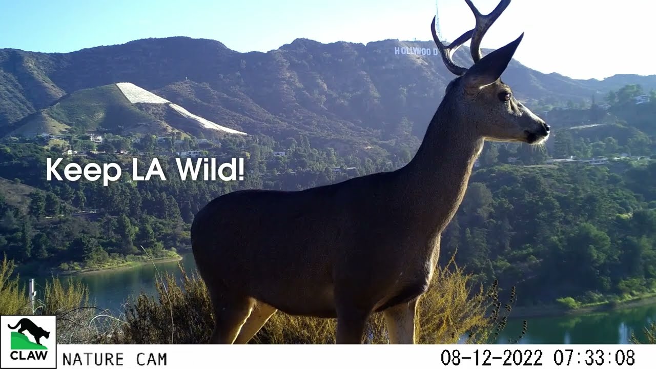 CLAW Nature Cam - 2022 Highlight Reel