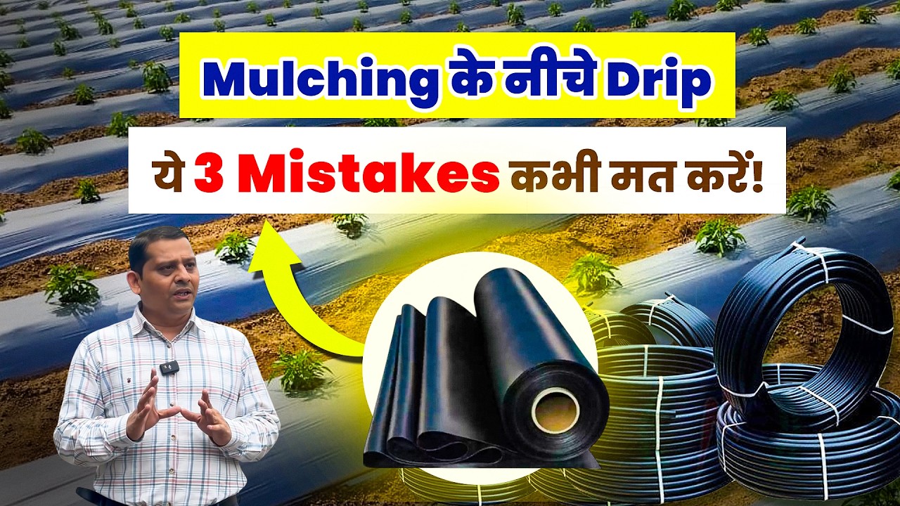 पहली बार ड्रिप इरिगेशन? सही जानकारी होगी तो पानी और पैसा—दोनों बचेंगे!