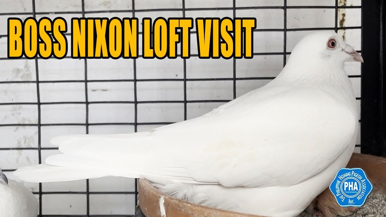 LOFT VISIT MUNA TAYO KAY BOSS NIXON