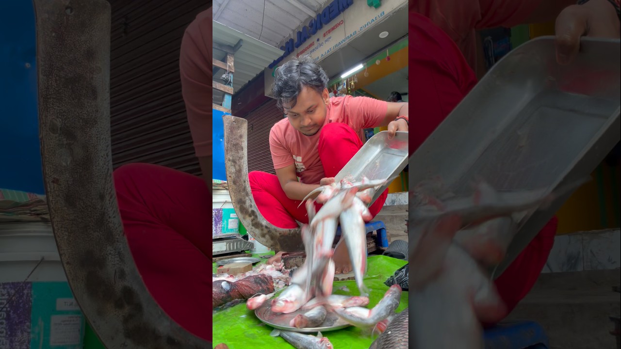 Kya hua mummy itna kaam machli q laayi ho ? 😳🐠 #minivlog #dailyvlog #shorts #vlogs