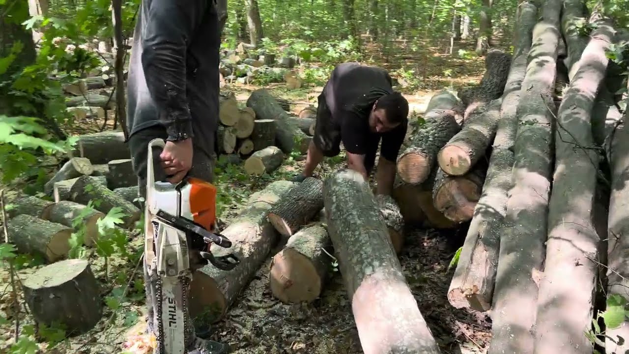 3 вересня 2023 р.🌳STIHL MS 462C-M🌲