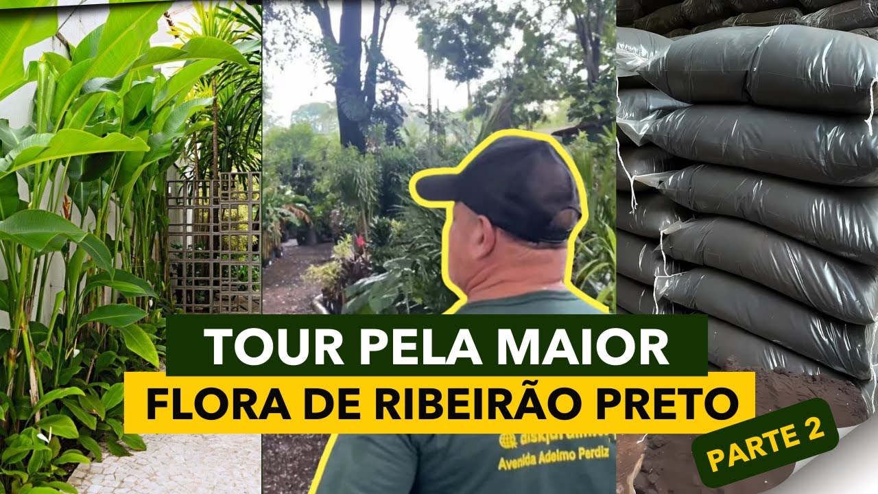 Parte 2 - TOUR PELA MAIOR FLORA DE RIBEIRÃO PRETO