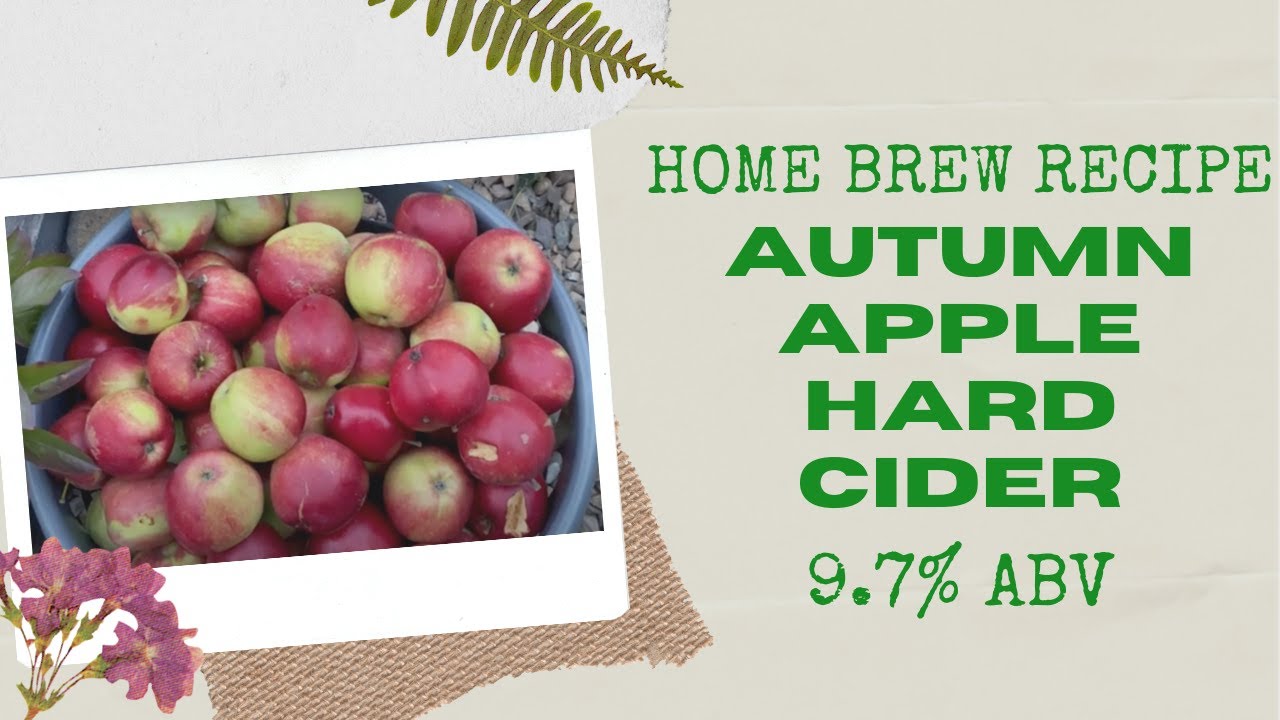 Making an Autumn Apple Hard Cider with Apples From My Own Garden: 9.7% ABV
