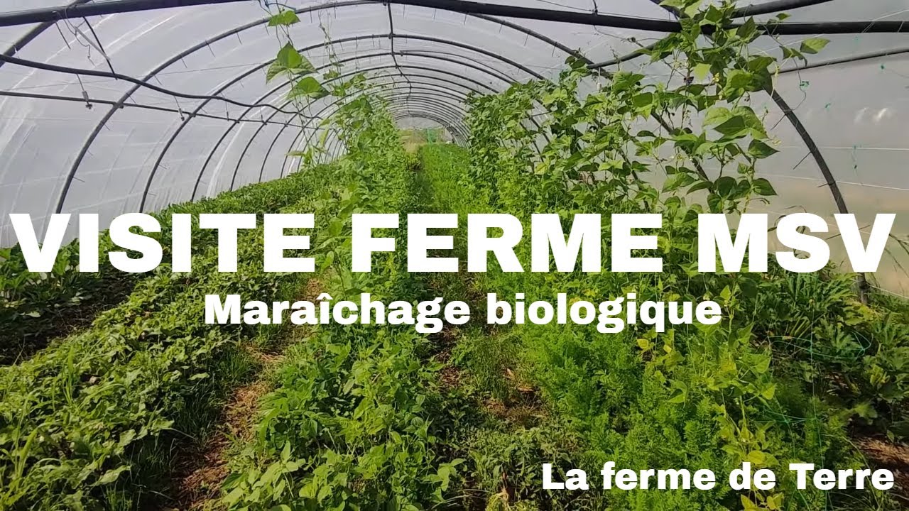Visite ferme en maraîchage sol vivant à La ferme de Terre. Mai 2022
