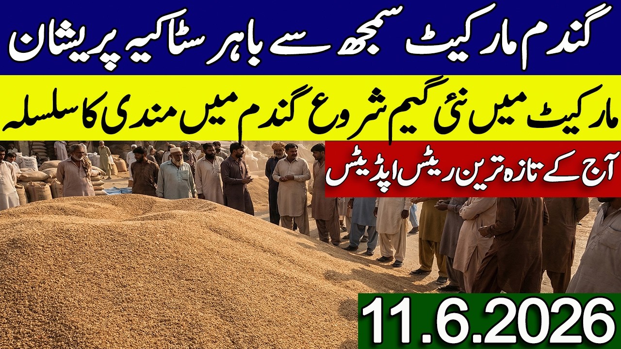 New Gandum Rates Today 2026 || New Wheat Price Today || Gundam Rates Today 2026