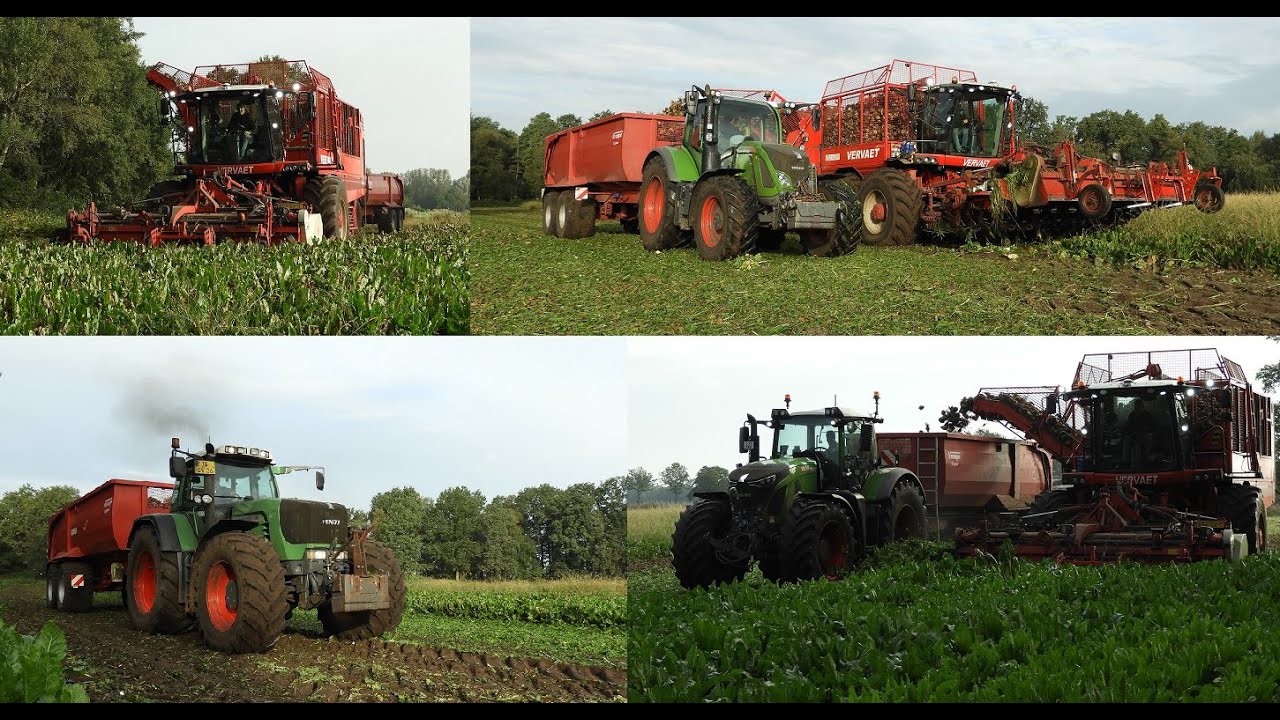 Suikerbieten rooien door Fuhler Emmen met Vervaet en Fendt 942, 930 en 720 met Krampe kippers