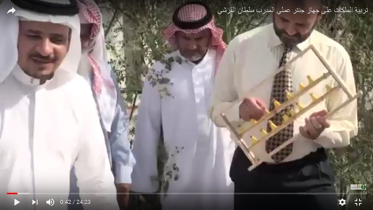 تربية الملكات للنحل البلدي على جهاز جنتر عملي