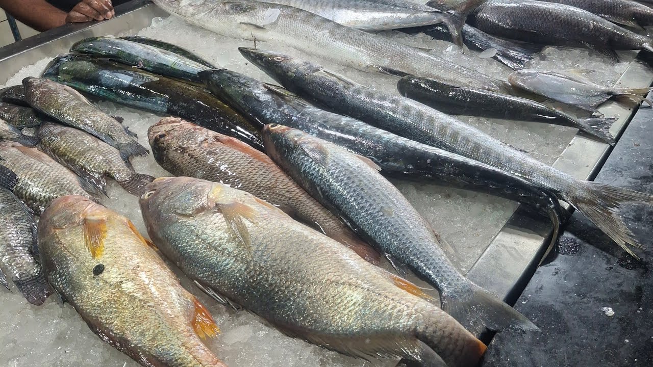Sonu Khan is live! best fish cutting skills kerala