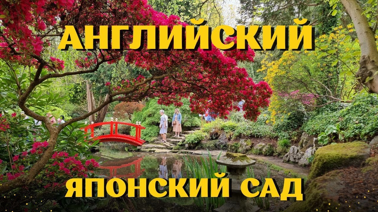 Лондон. Английский японский сад. (The Watergardens. Kingston upon Thames). 27 апреля 2025.