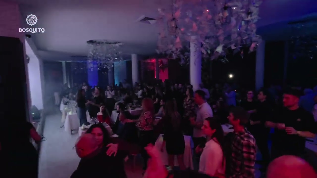 Bosquito live la Harlequin by the Sea - Mamaia 