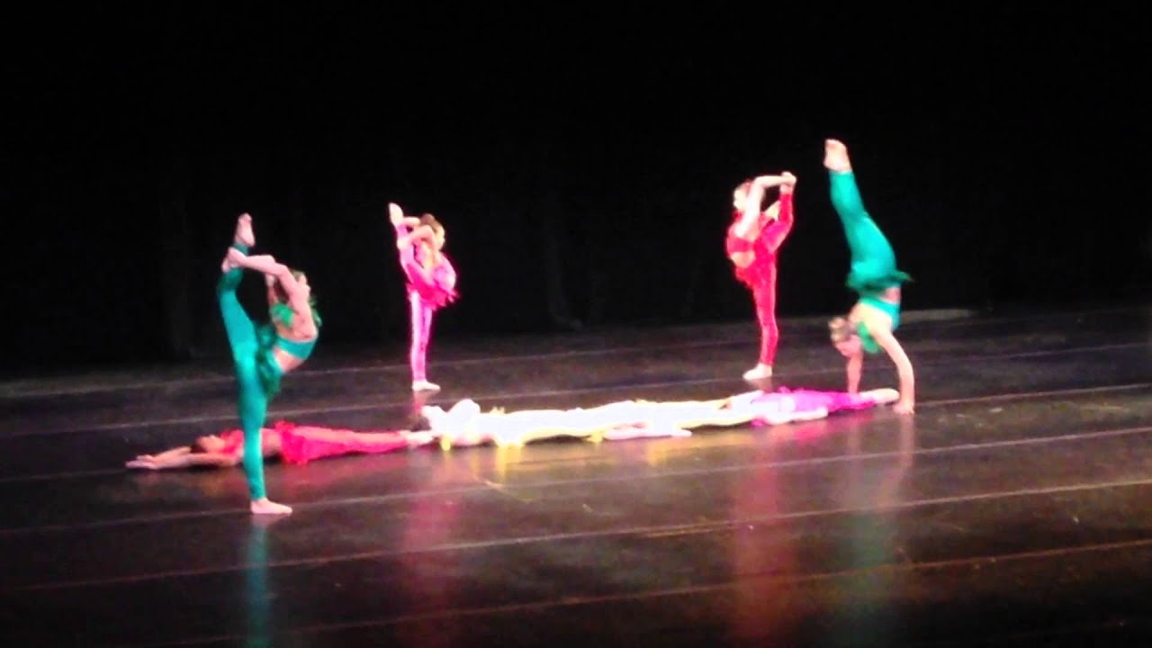 Birds of a Feather acro ALDC Showcase
