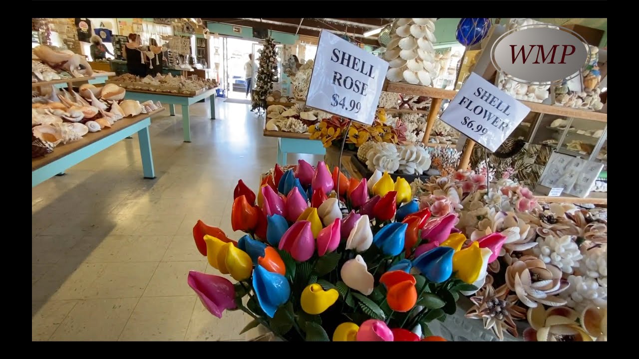THE BEST SHELL SHOP EVER SEEN | IMP LLC BUSINESS |  MORRO BAY - CALiFORNIA | Ft. INSPiRATION | WMP