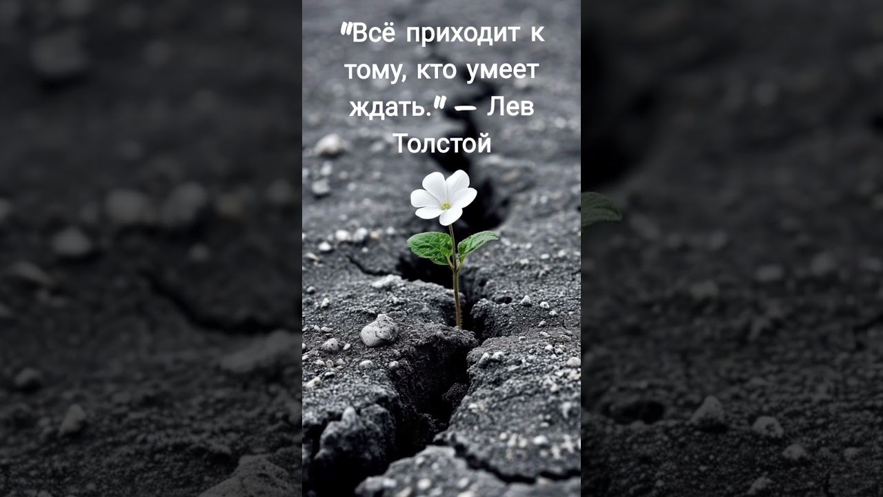 #цитаты #мотивациянауспех #мудрыеслова #mustwatch #люди #тренды #популярное