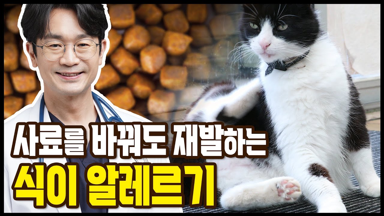 고양이 음식물 알레르기를 알아보자.