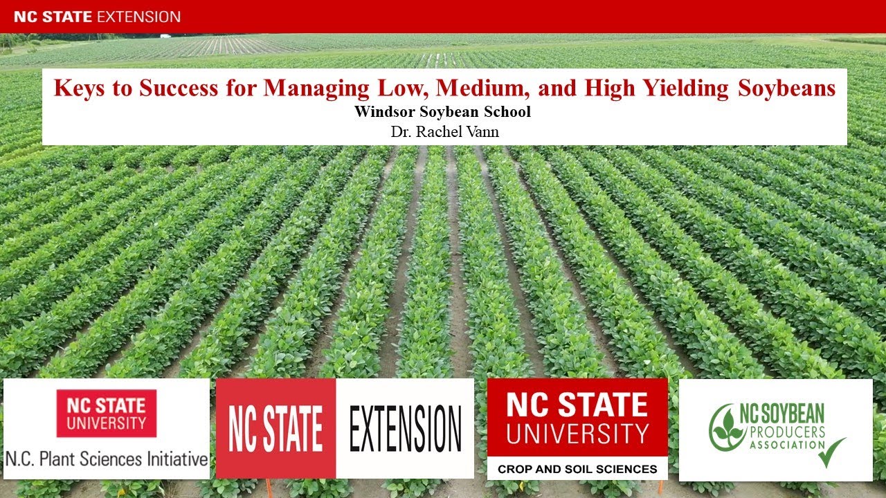 Keys to Success for Managing Low, Medium, and High-Yielding Soybean